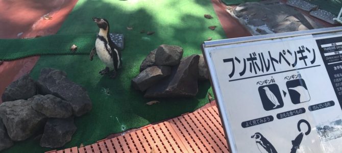 1学年 動物園へ遠足①